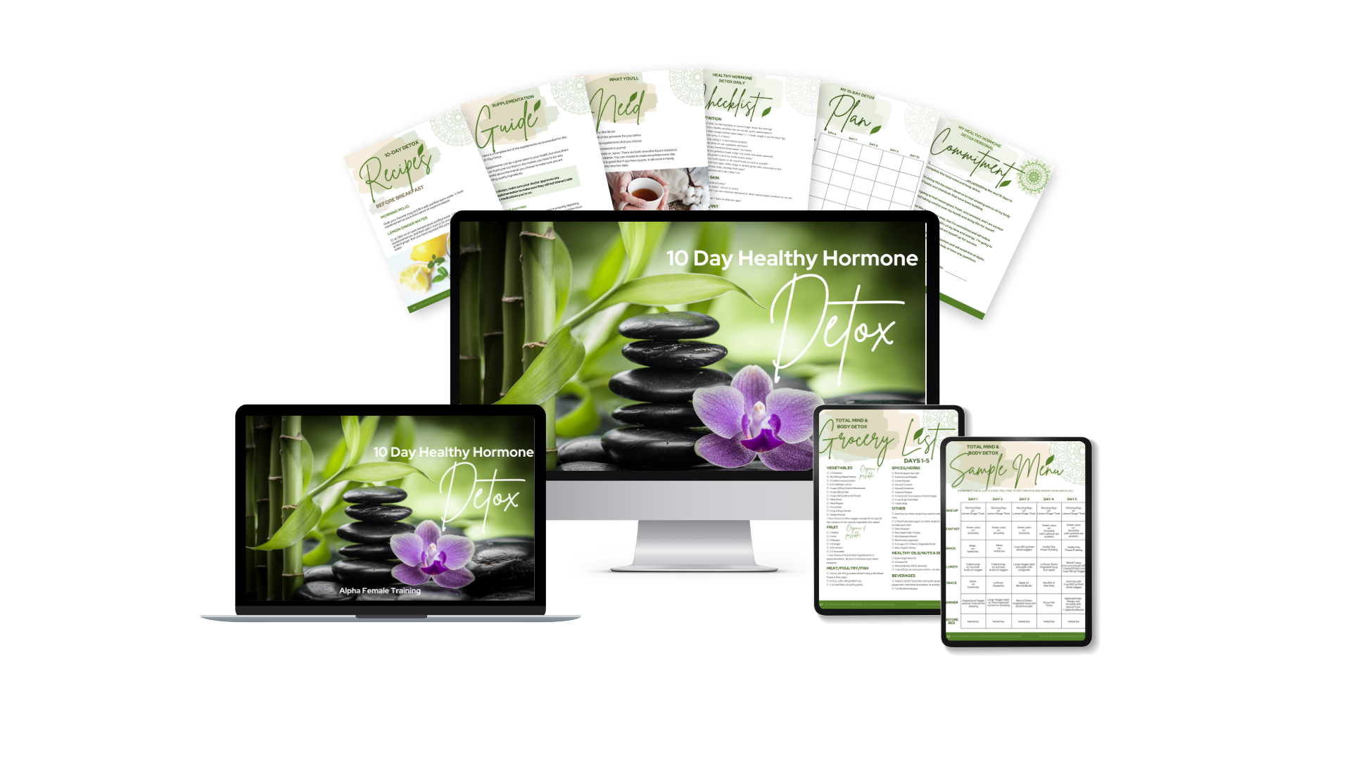 10 Day Healthy Hormone Detox Program - Balance Your Hormones and Reclaim Your Body in Perimenopause and Menopause